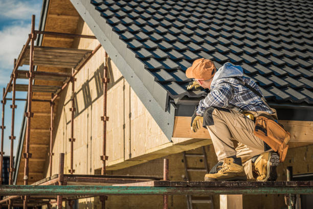 Best Gutter Installation and Roofing  in West Columbia, TX