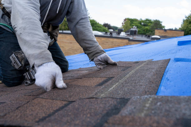 Best Storm Damage Roof Repair  in West Columbia, TX